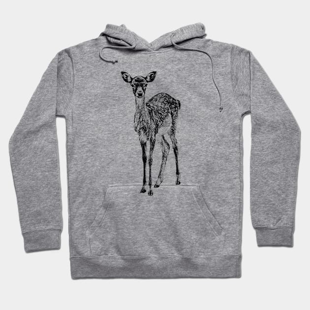 Fallow deer fawn Hoodie by Guardi